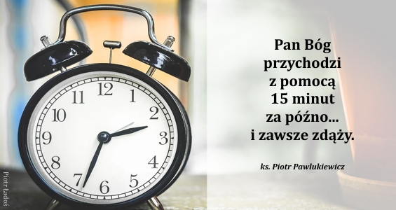 rozne-pl-63