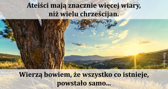 rozne-pl-02