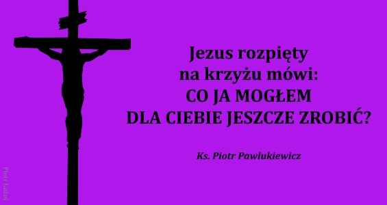 rozne-pl-72