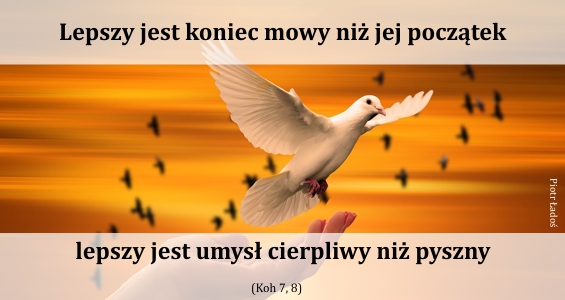 rozne-pl-21