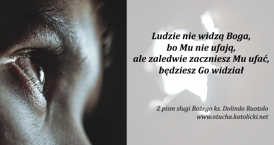 rozne-pl-22
