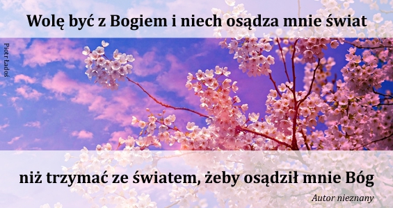 rozne-pl-53