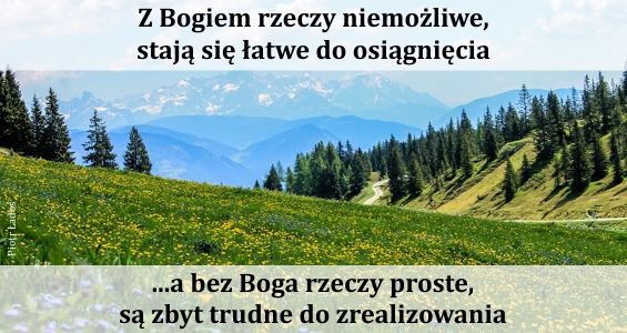 rozne-pl-54